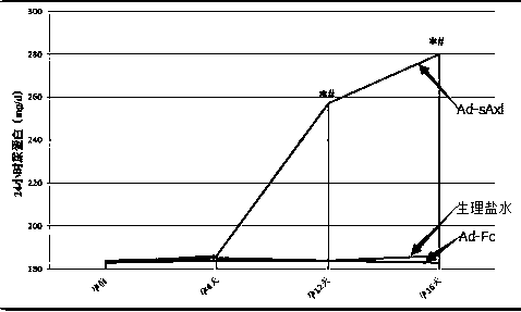 The application of ad-saxl in the establishment of preeclampsia rat model and the establishment method of preeclampsia rat model