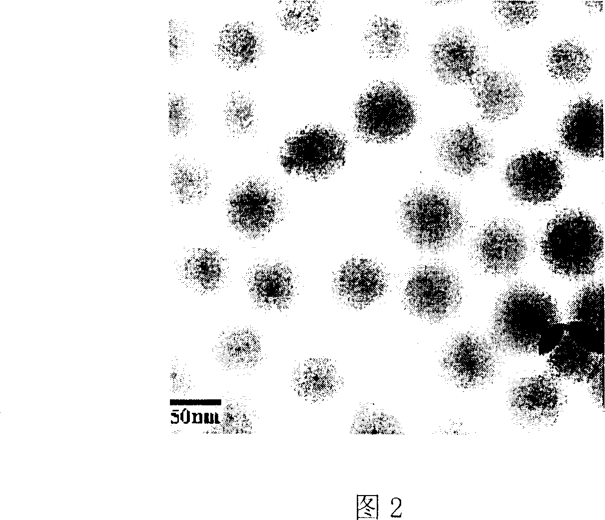 Silicon dioxide fluorescent microball containing cadmium telluride fluorescence quantum point and its preparation method