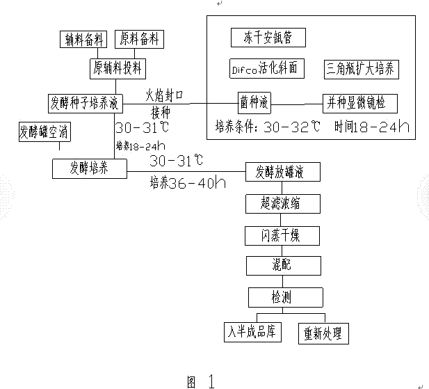 Multi-strain composite microorganism feed additive and preparation method thereof