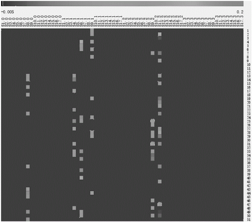 Effect-directed target/non-target androgen disruptor identification method