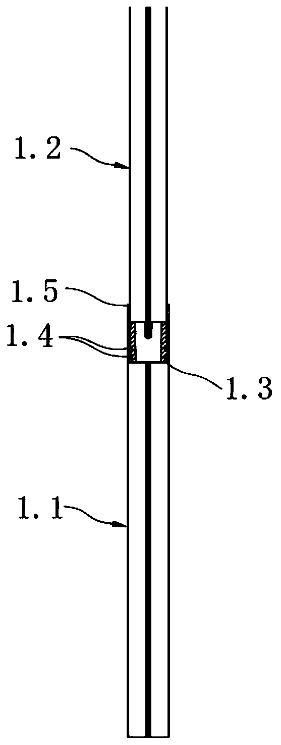 A kind of killing device and killing method of banana pest A.