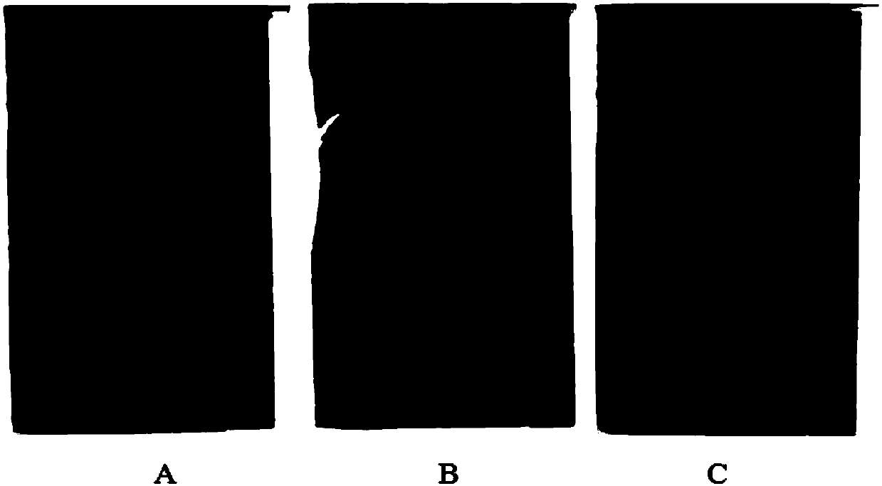 Black bean identification method based on thin-layer chromatography