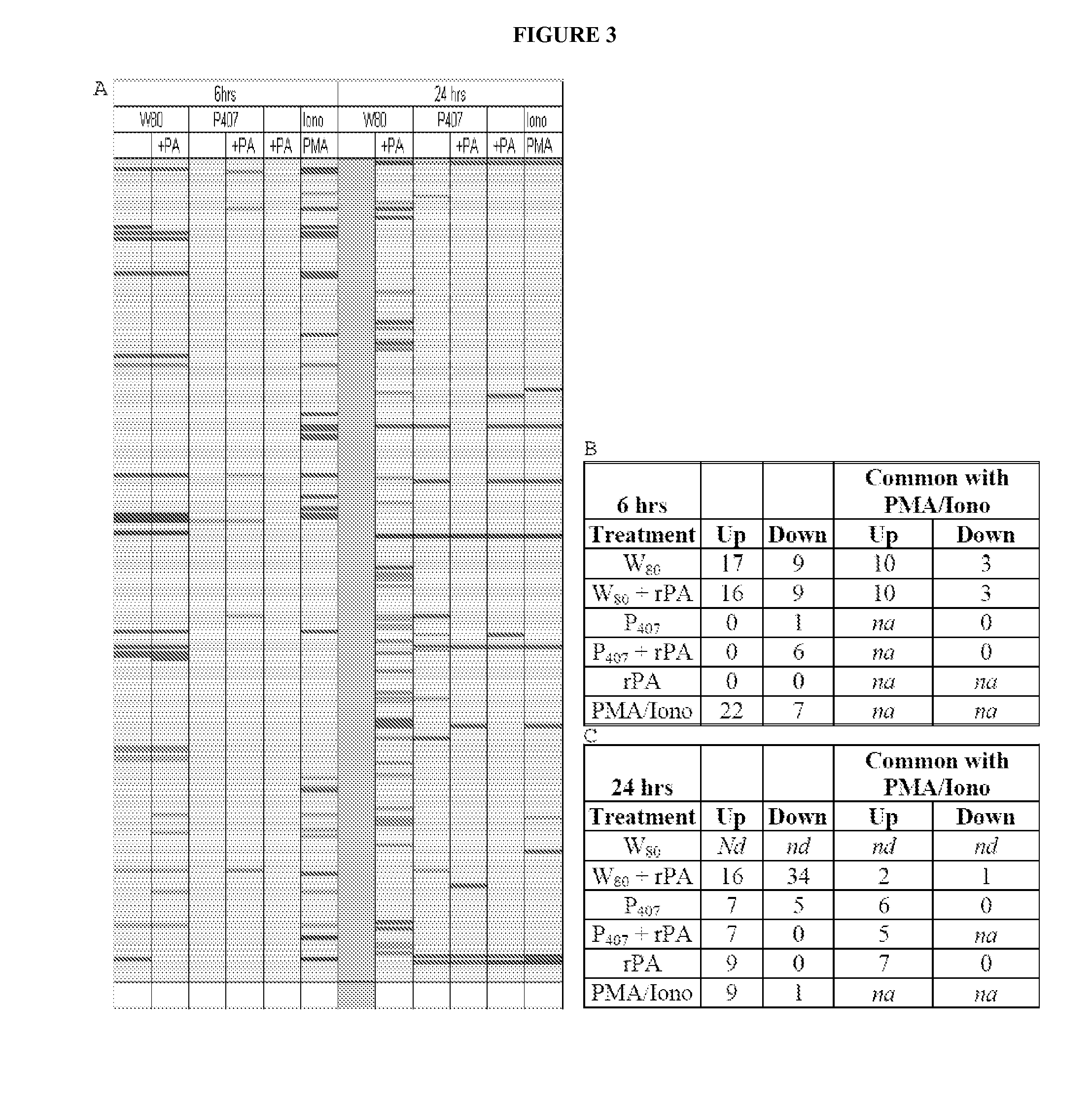 Nanoemulsion adjuvants