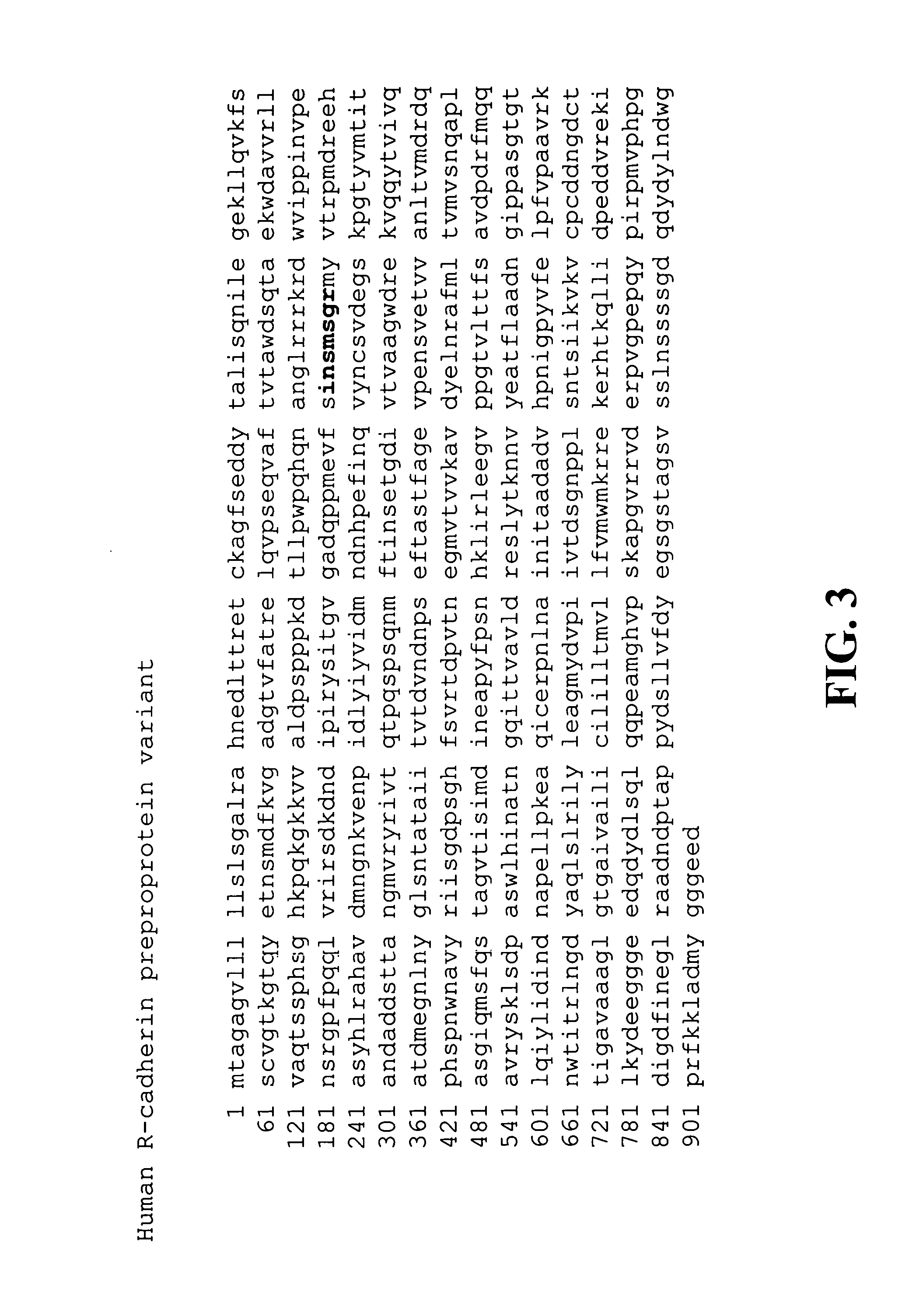 Selective R-cadherin antagonist and methods