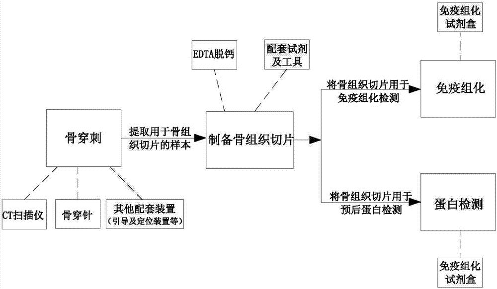 Diagnostic system for bone metastasis cancer and operation method thereof