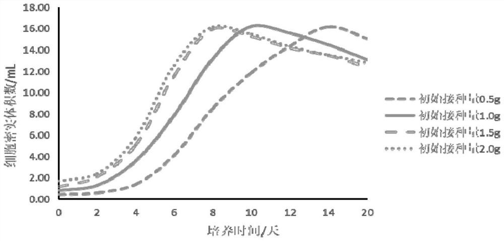 Methods for callus suspension culture and protoplast separation of camellia oleifera