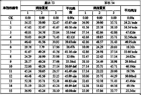 Fusarium oxysporum single spore isolation method for soybean root rot