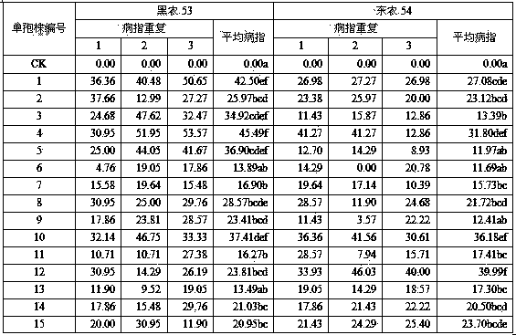 Fusarium oxysporum single spore isolation method for soybean root rot