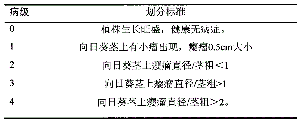 Ochrobactrum oryzae strain for prevention and control of plant root cancer and application thereof