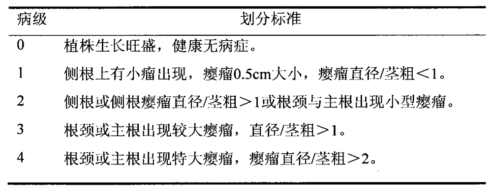 Ochrobactrum oryzae strain for prevention and control of plant root cancer and application thereof