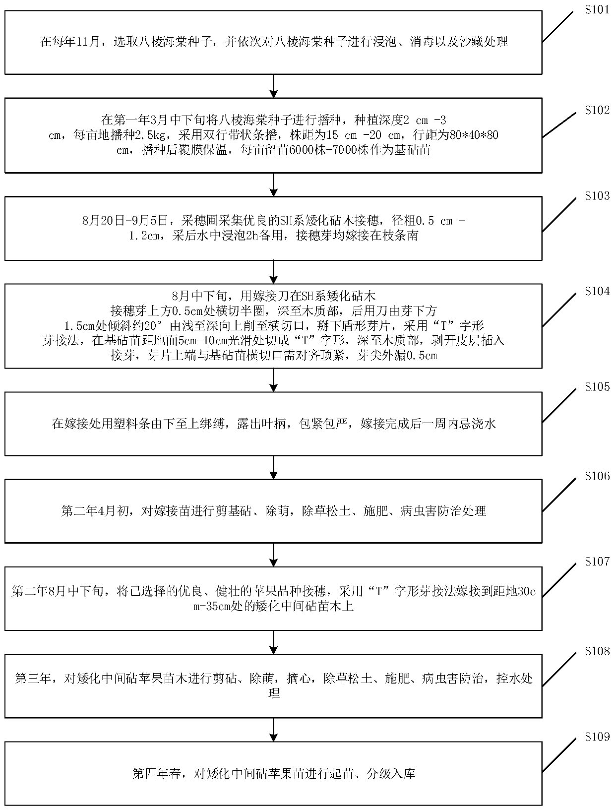 Grafting cultivation method suitable for apple dwarf interstock seedlings in Alpine land