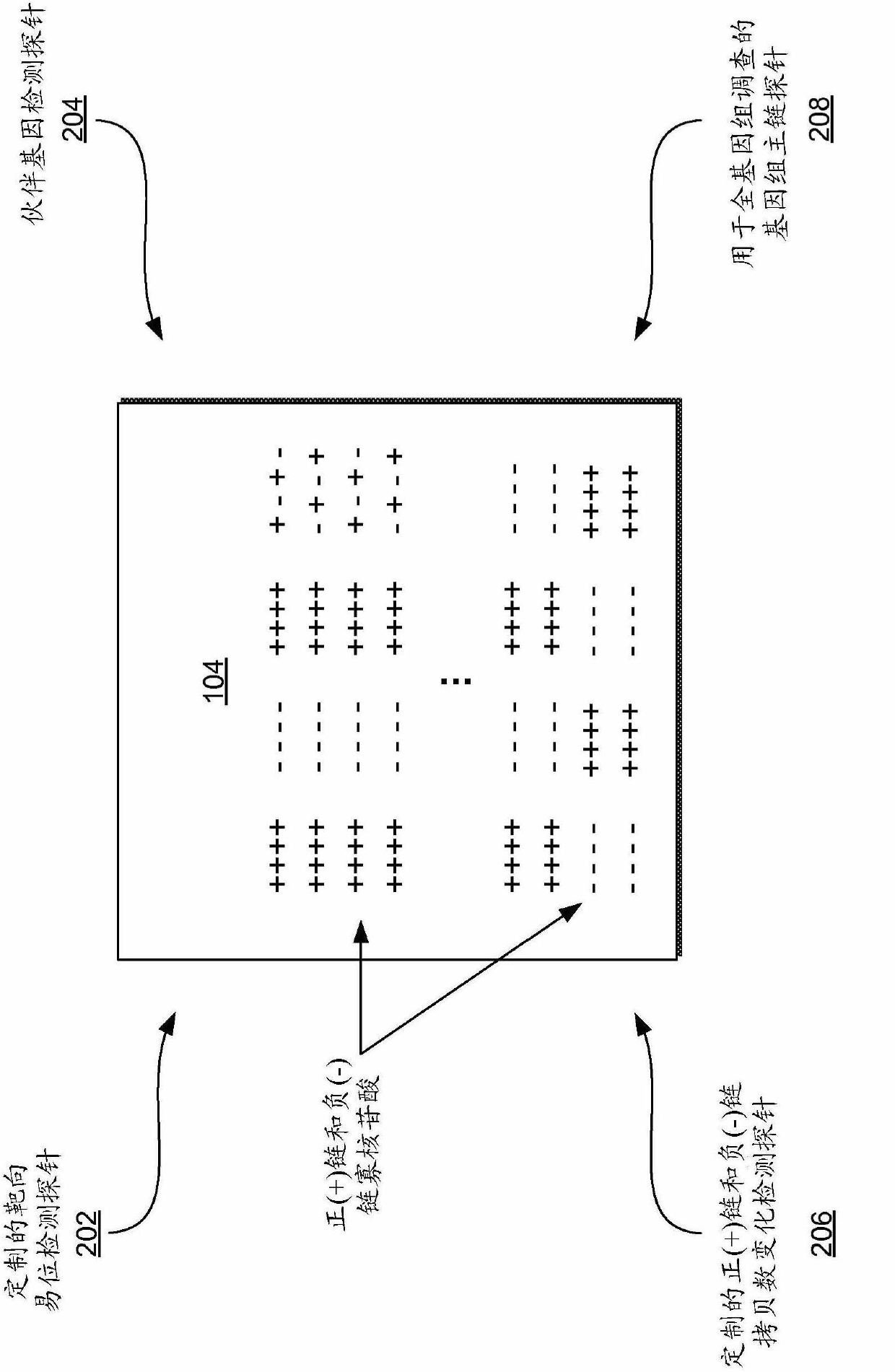 Multiplex (+/-) stranded arrays and assays for detecting chromosomal abnormalities associated with cancer and other diseases