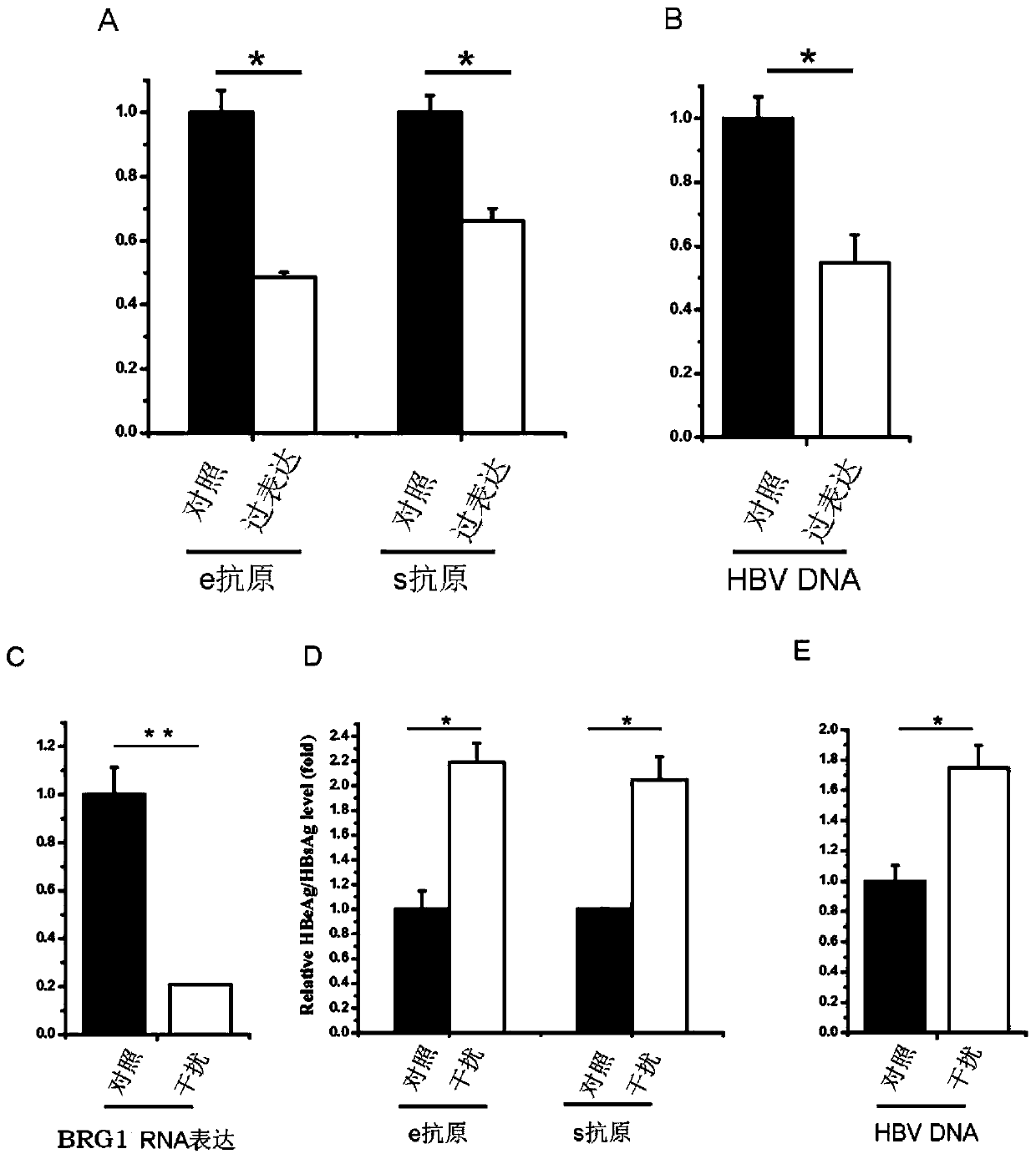 Application of chromatin remodeling complex core catalytic subunit to preparation of drug for treating or preventing hepatitis B virus infection