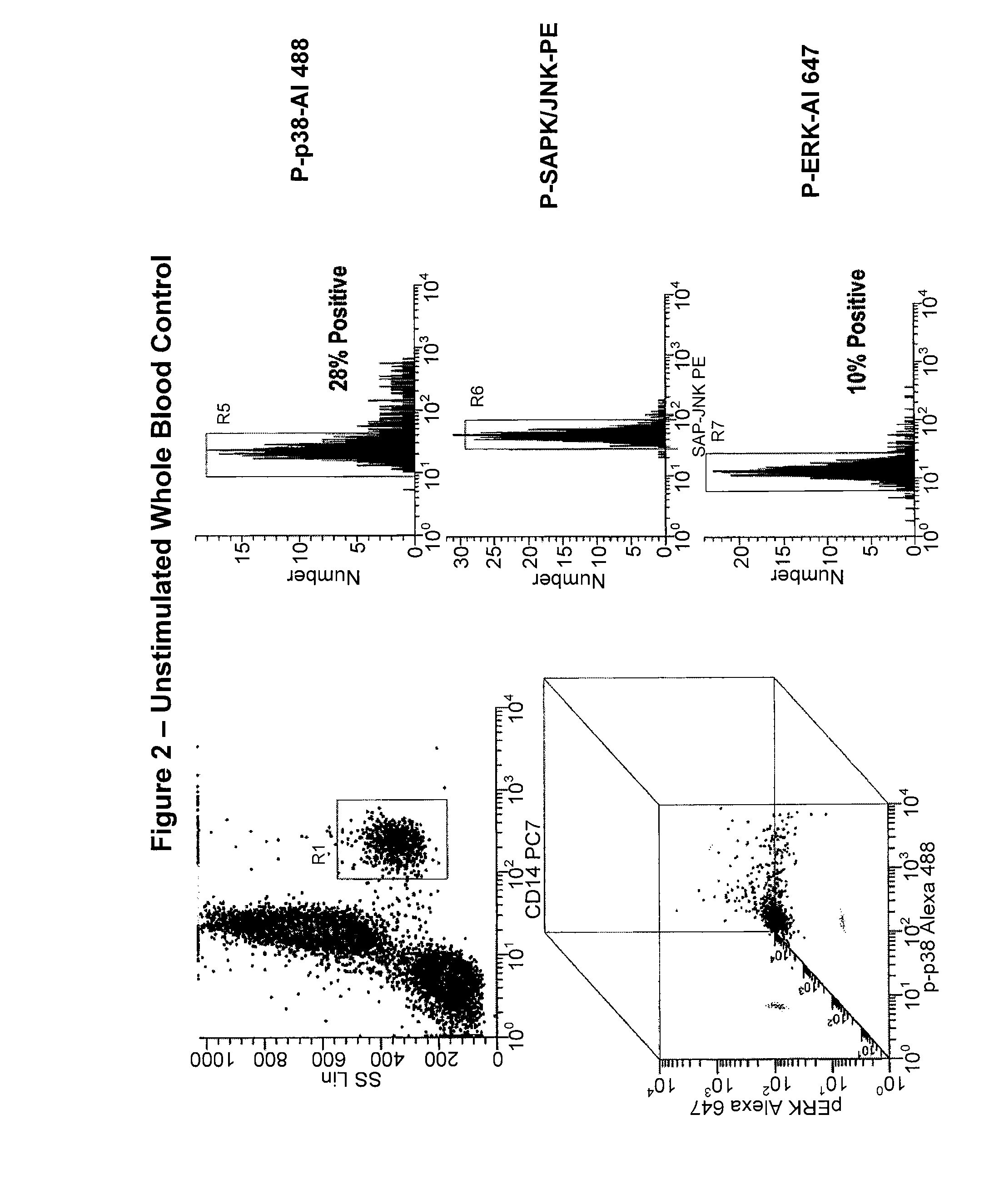 Pan-Kinase Activation and Evaluation of Signaling Pathways