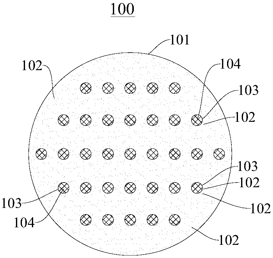 Nerve conduit capable of improving axonal regeneration orderliness and preparation method thereof