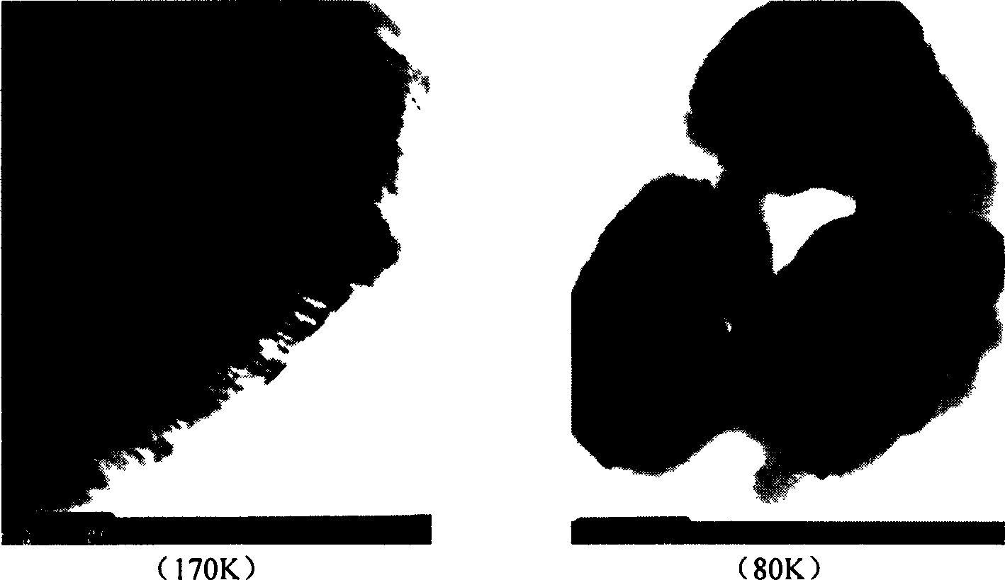 Preparation of powder of beta-TCP bioceramic possessing crystal grain structure of laminar cleavage