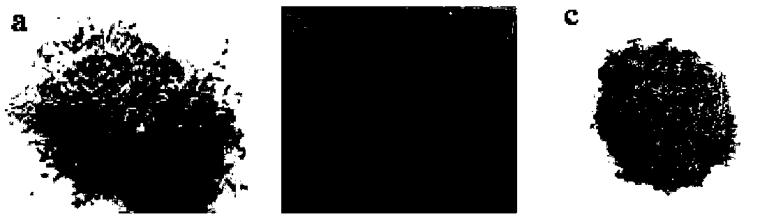 Method for comprehensive utilization of wood fiber all components