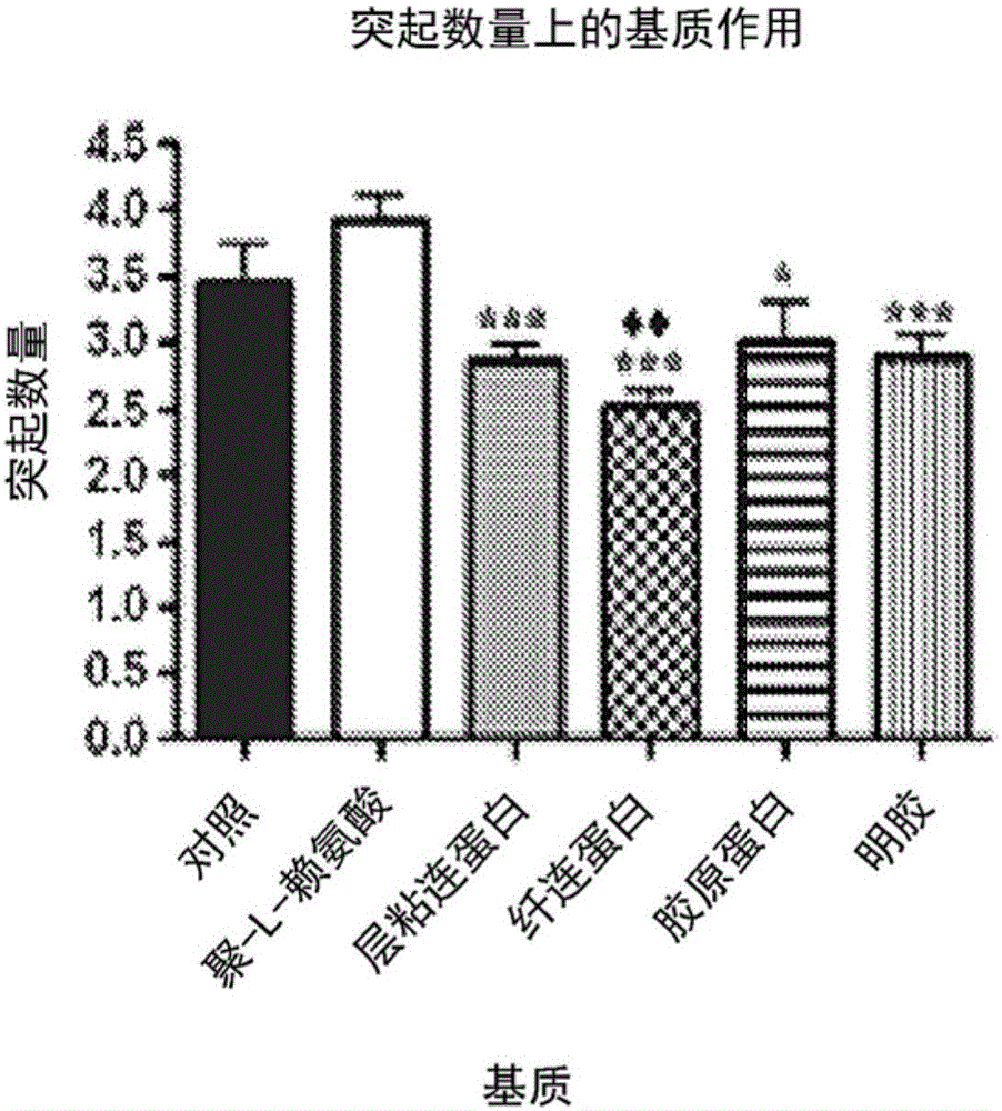 Growth matrices for stem cell propagation in vitro and in tissue regeneration