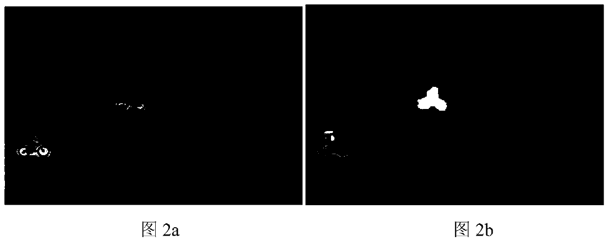 Motion Anomaly Detection Method Based on Hierarchical Independent Component Coding