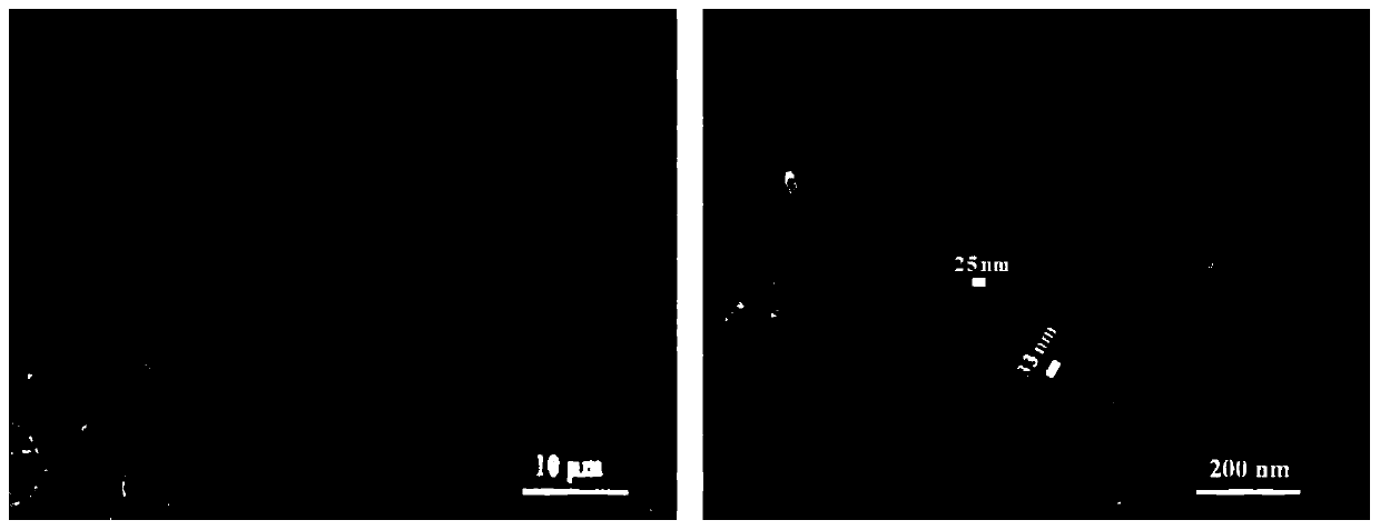 Ternary positive pole material precursor and method for adjusting and controlling crystal face growth of ternary positive pole material precursor