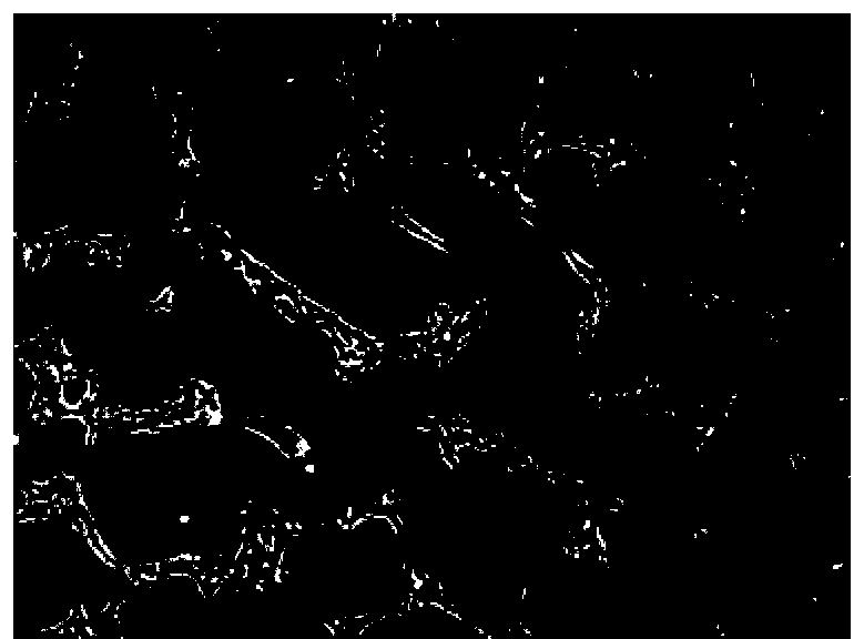 Passage method and application of human induced pluripotent stem cells