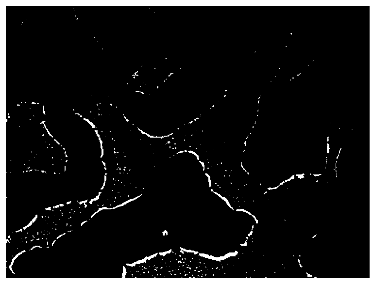 Passage method and application of human induced pluripotent stem cells