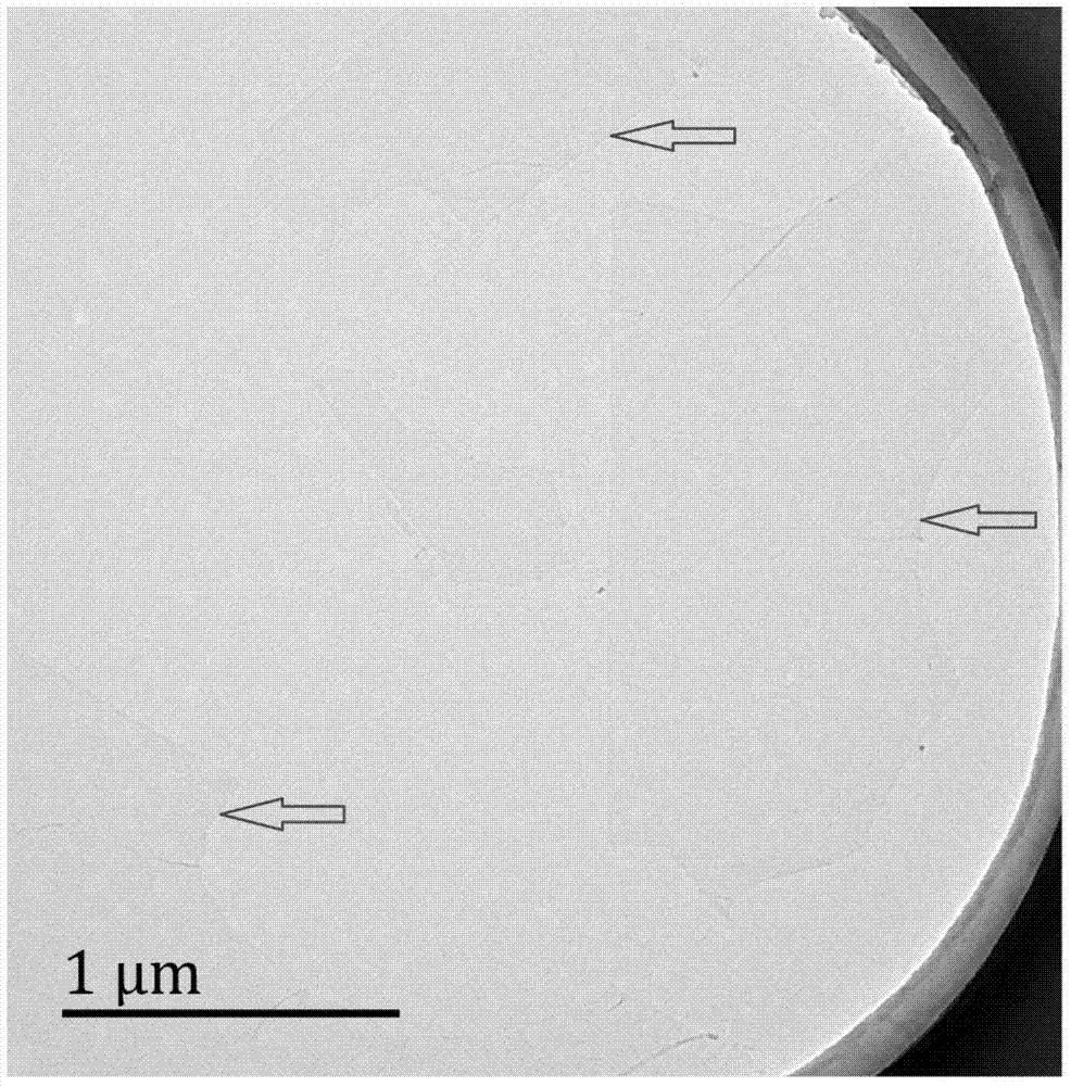 Preparation method of dipeptide derivative Fmoc-FF self-assembly fiber by graphene oxide regulation