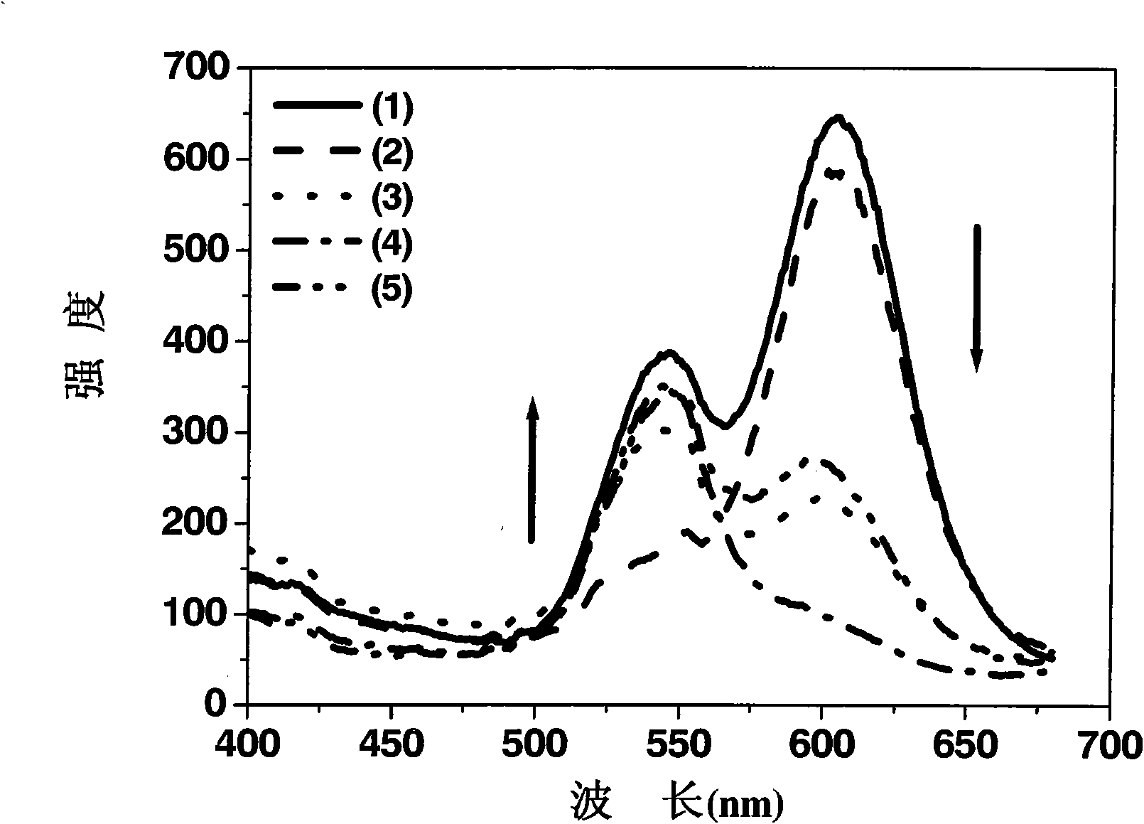 Enzyme chip based on quantum dot fluorescence detection, preparation method and application