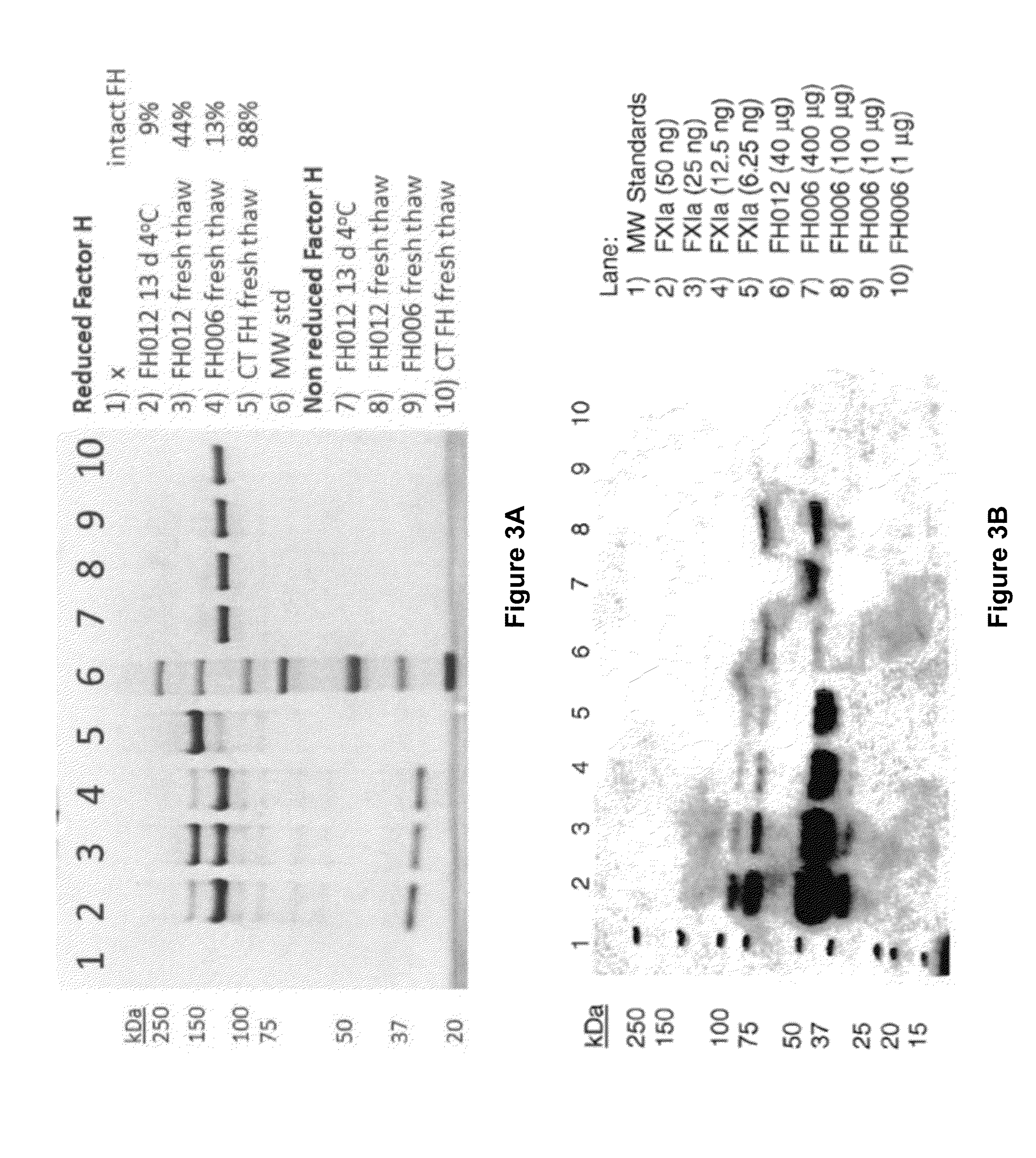 Isolation of factor h from fraction i paste