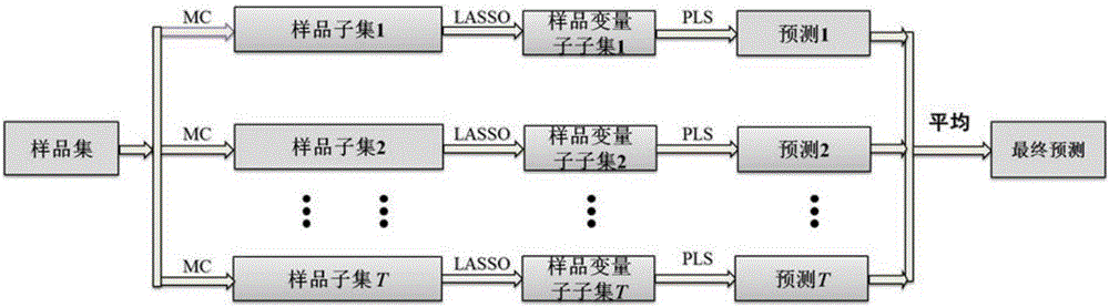 Double-integration partial least square modeling method based on Monte Carlo and LASSO