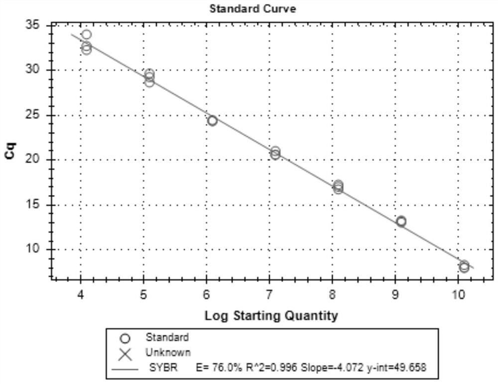 Real-time fluorescent quantitative PCR detection reagent for glandular stomach necrosis virus and application