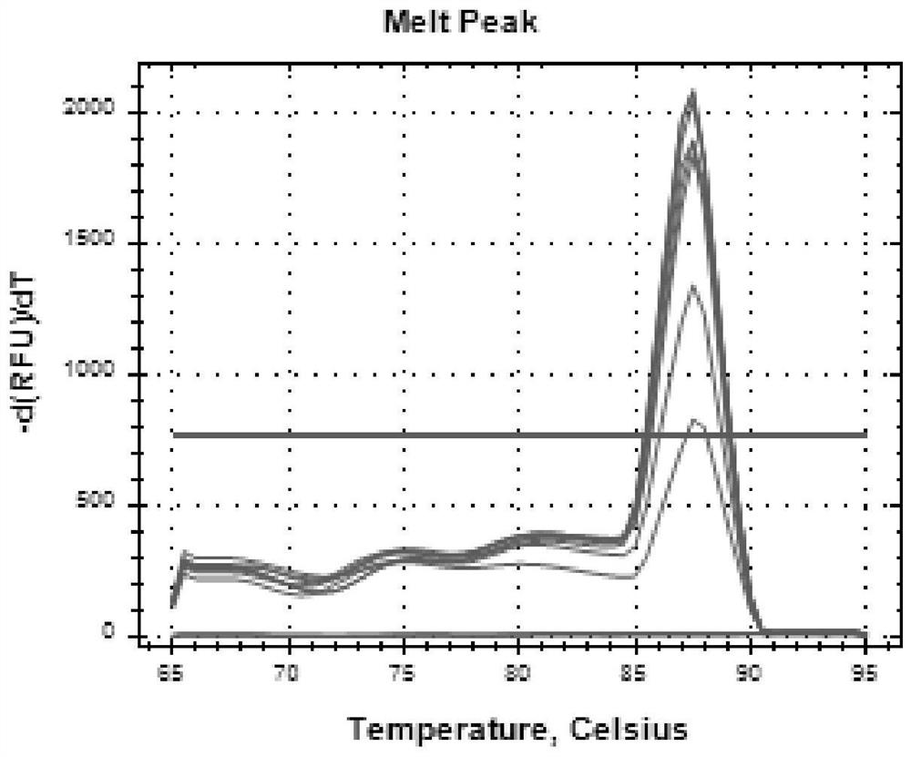 Real-time fluorescent quantitative PCR detection reagent for glandular stomach necrosis virus and application