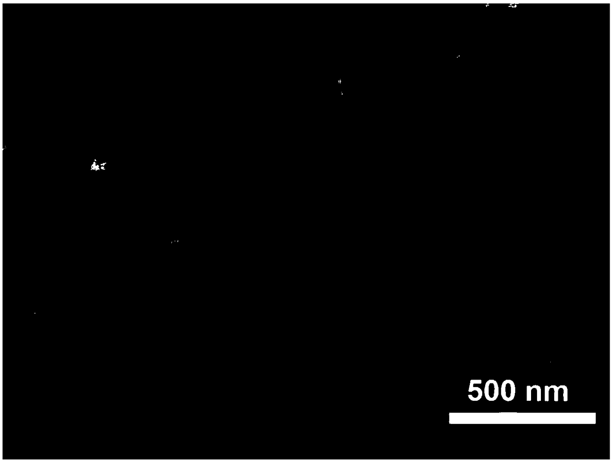 Heteroatom doping porous carbon materials and preparation method thereof