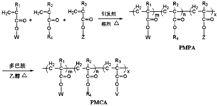 Imitation mussel attachment protein and cell membrane structure copolymer and preparation method and application thereof