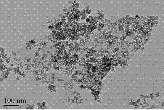 Method for preparing ferroferric oxide/graphene magnetic nano composite material by solvothermal one-step method