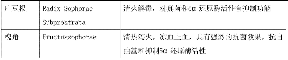 A traditional Chinese medicine composition for multi-target inhibition of seborrheic alopecia and preparation method thereof