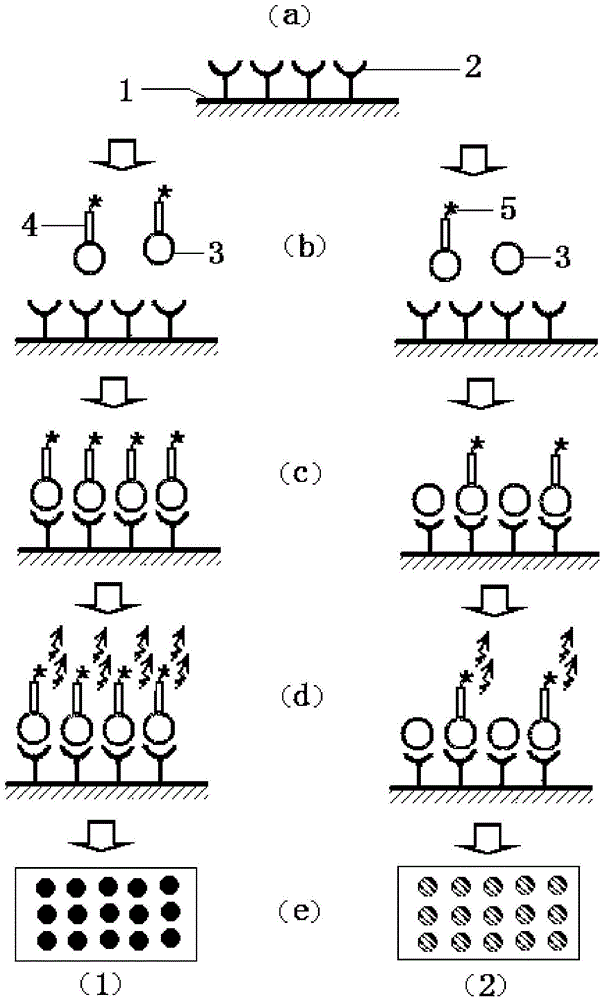 Pesticide and veterinary drug multi-residue detection method based on microarray detection chip