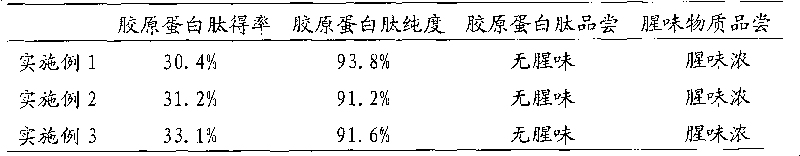 Method for producing no-fishy smell scale collagen peptide by utilizing macroporous absorbent resin