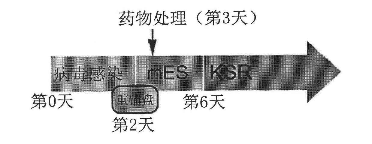 Preparing method of iPS cell and medium for preparing iPS cell