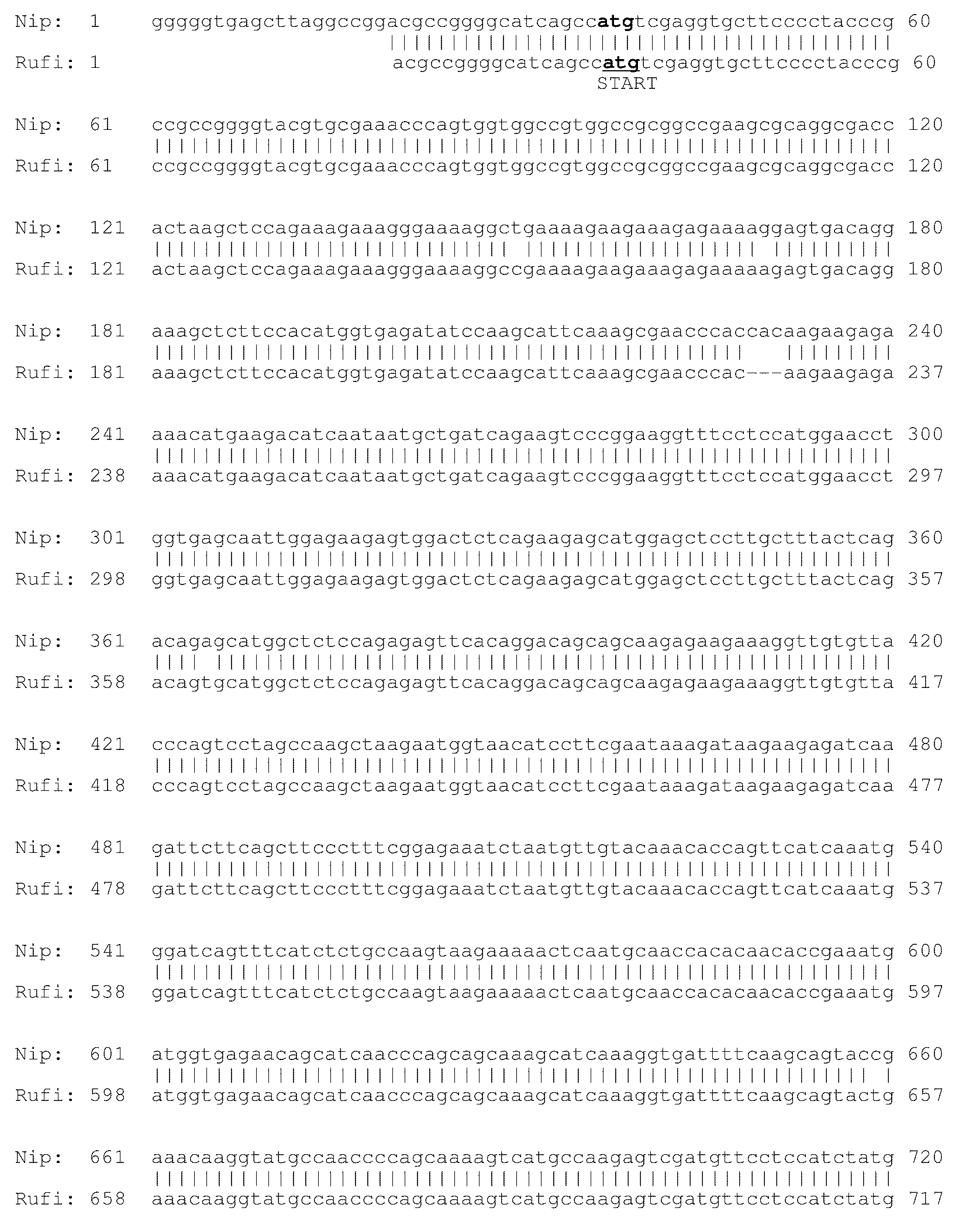 EG1117 polynucleotides and uses thereof