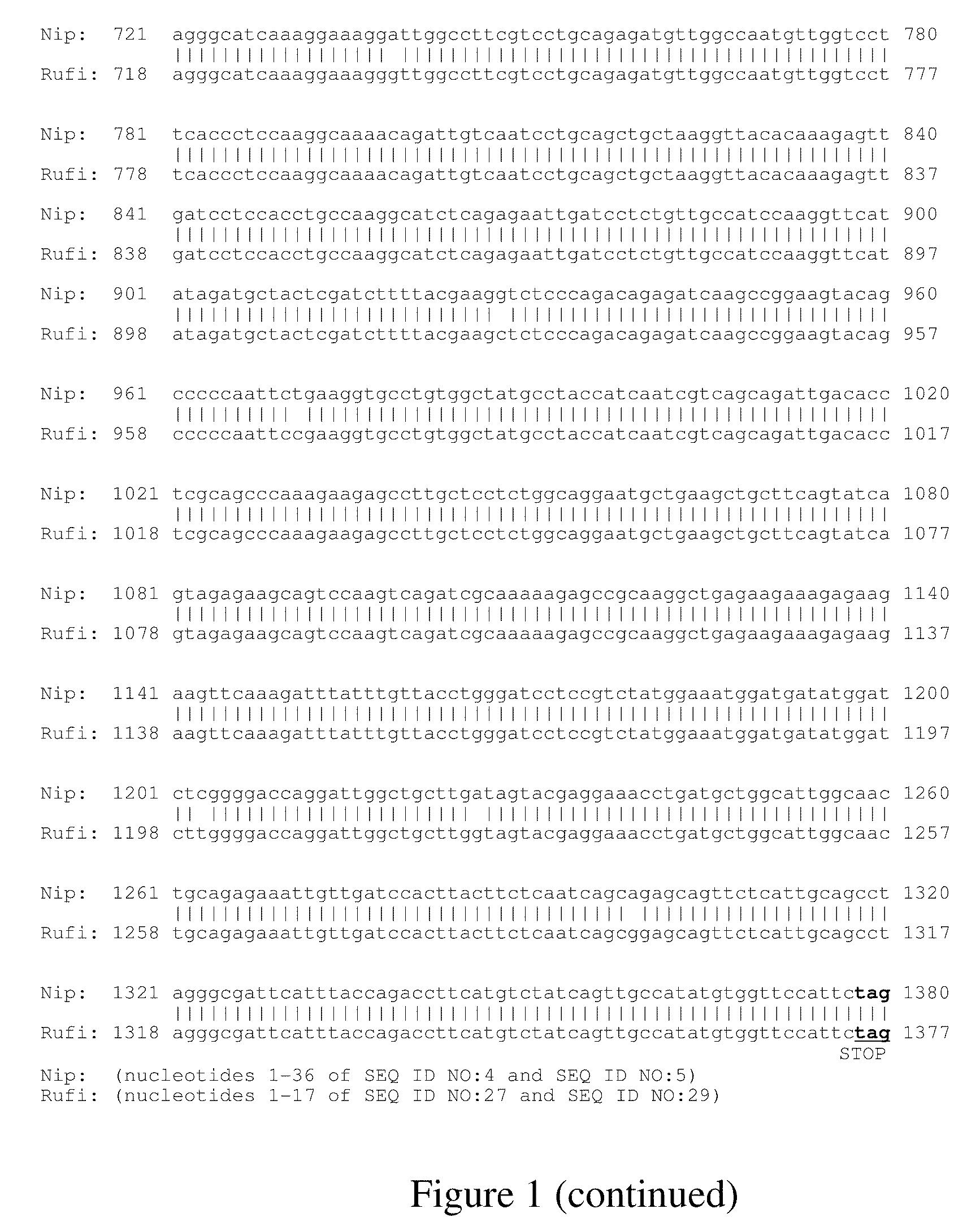 EG1117 polynucleotides and uses thereof