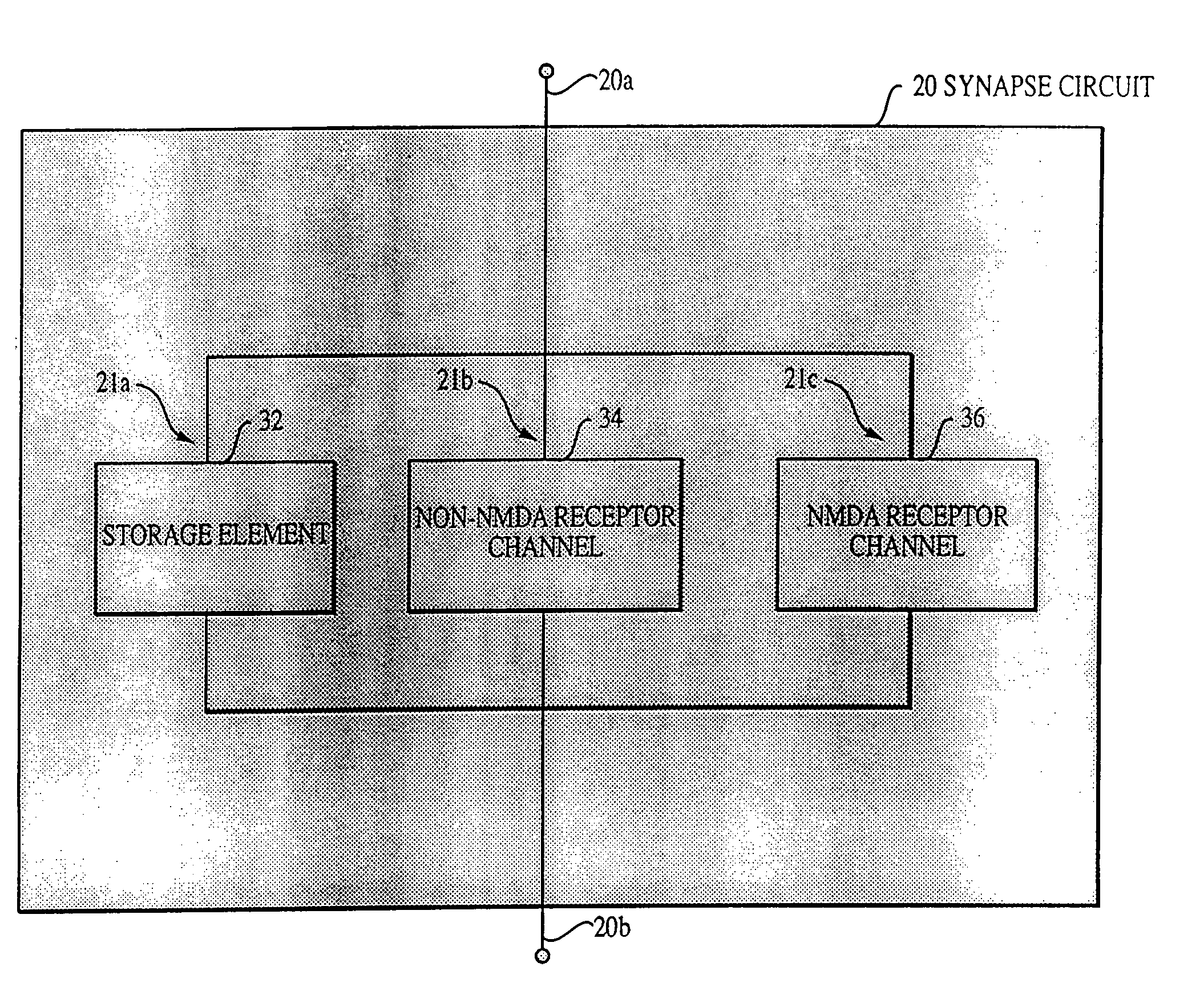 Hebbian synapse circuit