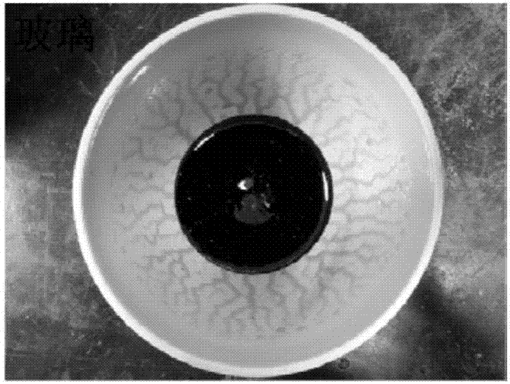 Method for preparing arsenic-containing cured glass by arsenic-containing waste slag