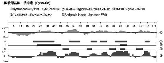 Method for evaluating sensitization of natural bee pollen and enzymic wall-broken bee pollen