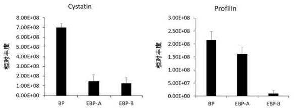 Method for evaluating sensitization of natural bee pollen and enzymic wall-broken bee pollen