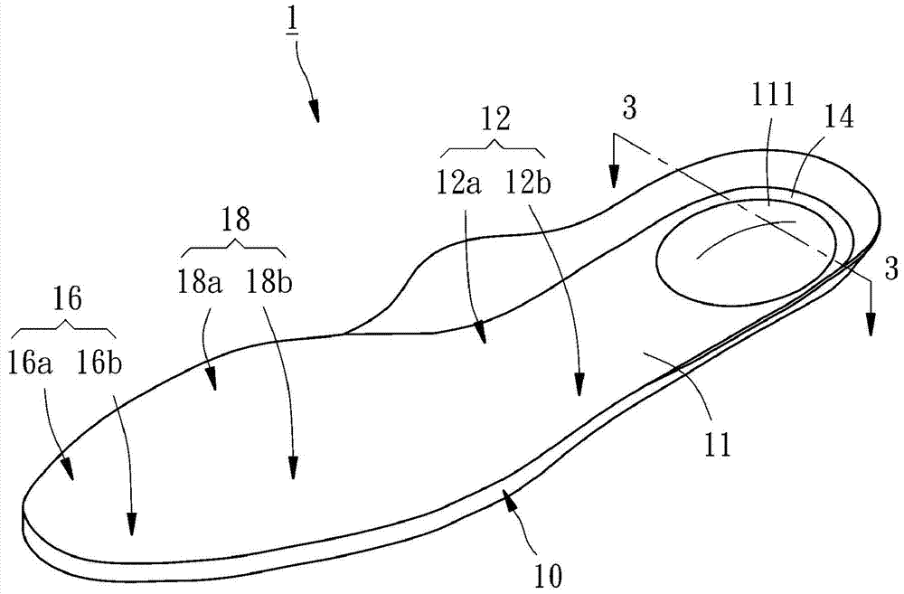 Multifunctional insole