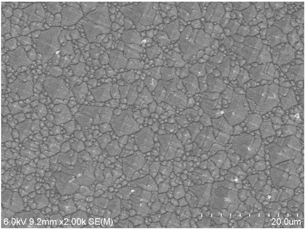 Texturizing method for monocrystalline silicon wafer and texturizing additive used in texturizing method