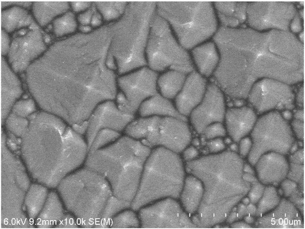 Texturizing method for monocrystalline silicon wafer and texturizing additive used in texturizing method