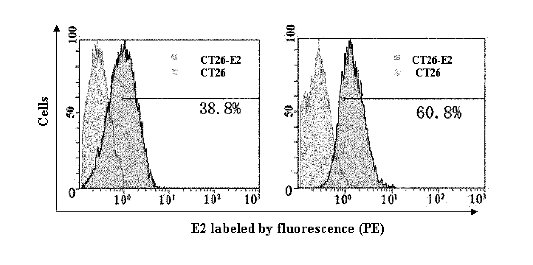 Small-molecule nucleotide aptamer for hepatitis C virus, preparation method and use thereof