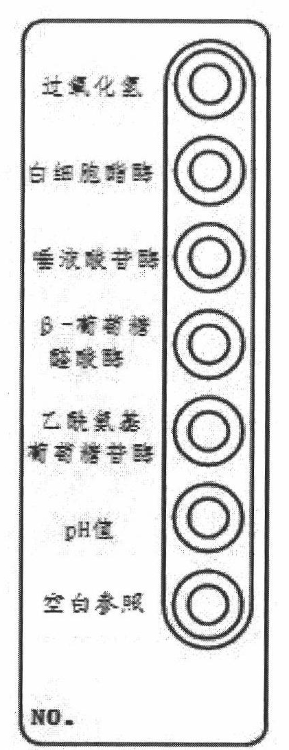 Vaginitis test kit and preparation method thereof